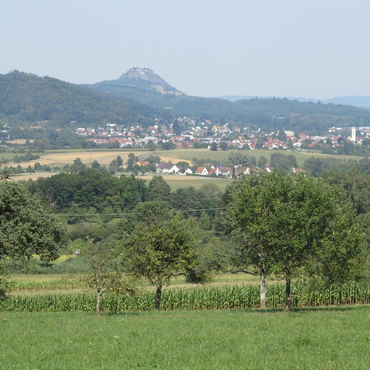 Bodensee Hegau Gottmadingen Bagian luar foto